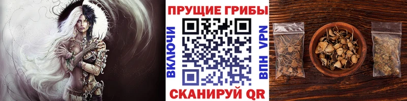 Псилоцибиновые грибы мухоморы  закладки  Белгород 