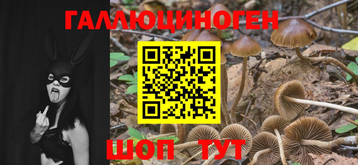 Галлюциногенные грибы Psilocybe  Галлюциногенные грибы Magic Shrooms  Вход с VPN  Белгород 