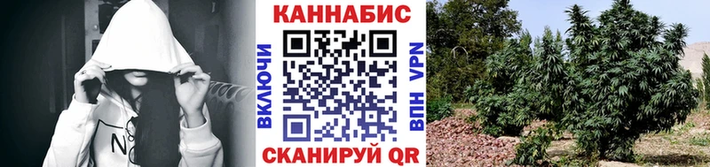 как найти закладки  Белгород  МАРИХУАНА сатива 